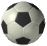 soccer.gif (14024 bytes)